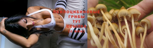 индика Абдулино
